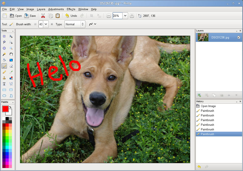 ms paint for mac os x download